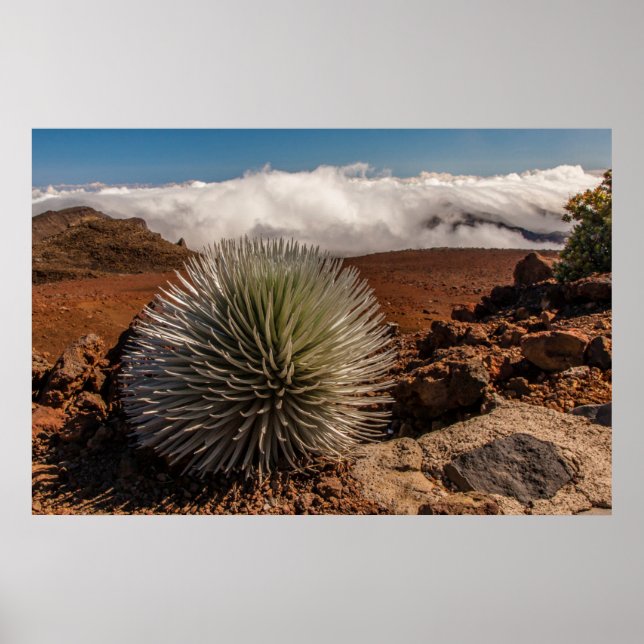 USA, Hawaii, Maui, Haleakala National Park Poster (Front)