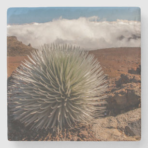 USA, Hawaii, Maui, Haleakala National Park Stone Coaster