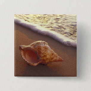 USA, Hawaii, Maui, Kihei, Evening light on 2 Inch Square Button