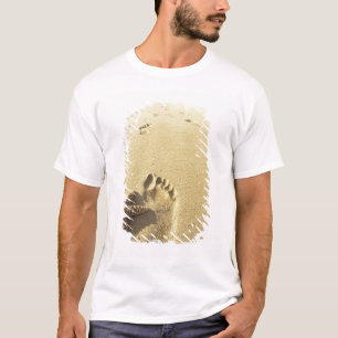 USA, Hawaii, Maui, Makena Beach, Footprint and T-Shirt