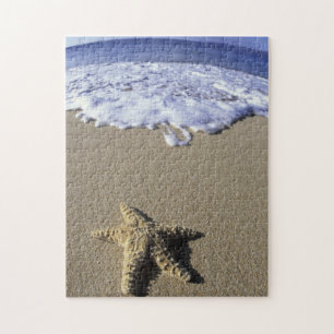 USA, Hawaii, Maui, Makena Beach, Starfish and Jigsaw Puzzle