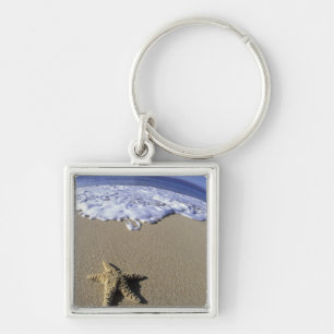 USA, Hawaii, Maui, Makena Beach, Starfish and Keychain