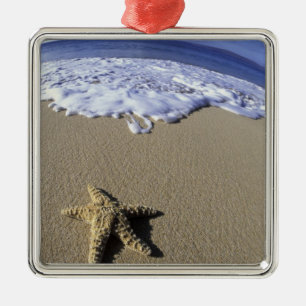 USA, Hawaii, Maui, Makena Beach, Starfish and Metal Ornament