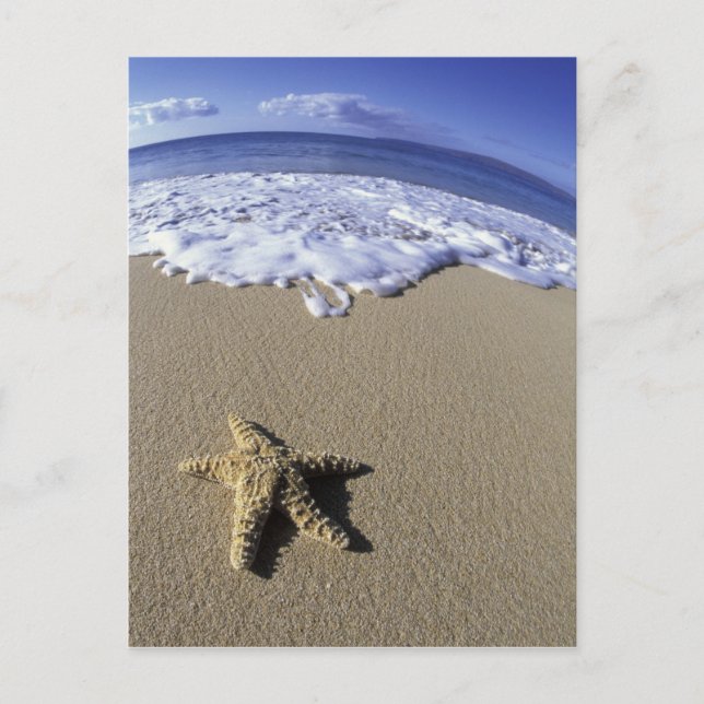 USA, Hawaii, Maui, Makena Beach, Starfish and Postcard (Front)