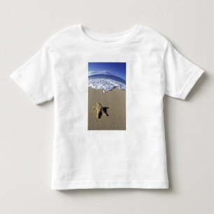 USA, Hawaii, Maui, Makena Beach, Starfish and Toddler T-shirt
