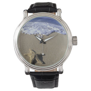 USA, Hawaii, Maui, Makena Beach, Starfish and Watch