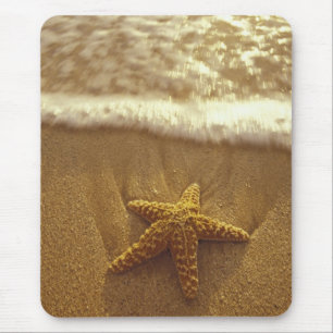 USA, Hawaii, Maui, Maui, Kihei, Starfish and Mouse Pad