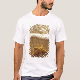 USA, Hawaii, Maui, Maui, Kihei, Starfish and T-Shirt