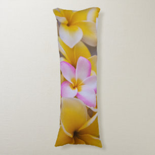 USA, Hawaii, Oahu, Plumeria flowers in bloom 1 Body Pillow