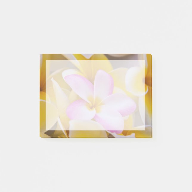 USA, Hawaii, Oahu, Plumeria flowers in bloom 1 Post-it Notes (Front)