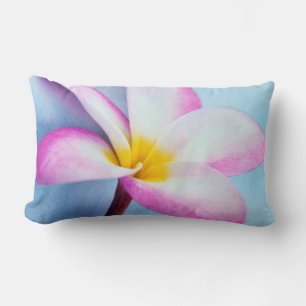 USA, Hawaii, Oahu, Plumeria flowers in bloom 2 Lumbar Pillow