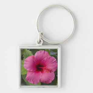 USA, Hawaii, Oahu. The Hibiscus is the 2 Keychain
