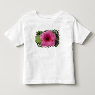 USA, Hawaii, Oahu. The Hibiscus is the 2 Toddler T-shirt