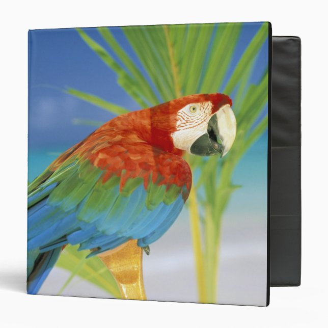 USA, Hawaii. Parrot Binder (Front/Inside)