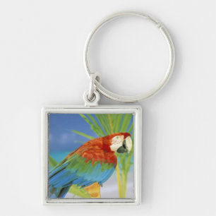USA, Hawaii. Parrot Keychain