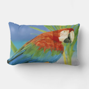 USA, Hawaii. Parrot Lumbar Pillow