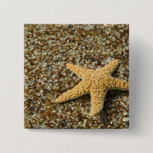 USA, HI, Kauai, Glass Beach with Star fish 2 Inch Square Button
