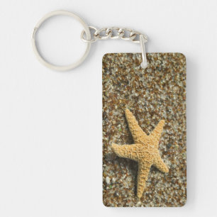 USA, HI, Kauai, Glass Beach with Star fish Keychain