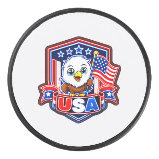 USA HOCKEY PUCK
