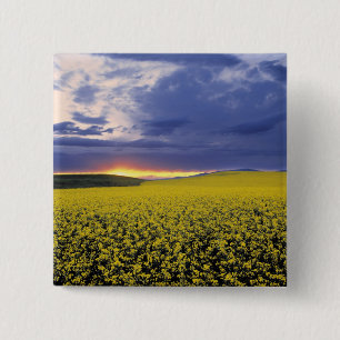 USA, Idaho, Swan Valley. A fiery sunset erupts 2 Inch Square Button