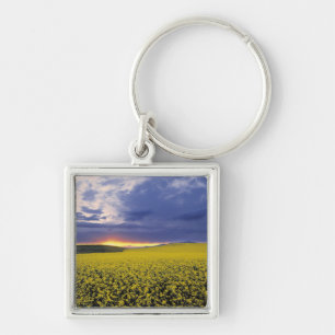 USA, Idaho, Swan Valley. A fiery sunset erupts Keychain