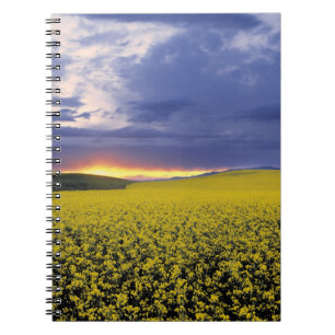 USA, Idaho, Swan Valley. A fiery sunset erupts Notebook