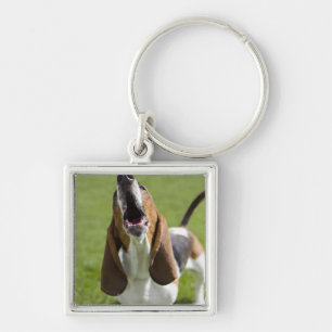 USA, Illinois, Washington, Portrait of Bassett Keychain