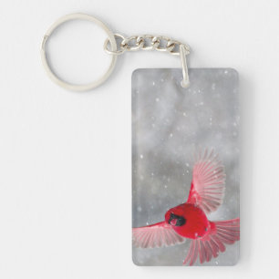 USA, Indiana, Indianapolis. A male cardinal Keychain