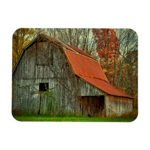 USA, Indiana. rural landscape, vine-covered barn Magnet