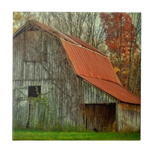 USA, Indiana. rural landscape, vine-covered barn Tile