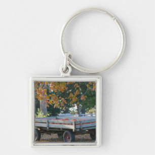 USA, IOWA, Madison County, Winterset: Howell's Keychain