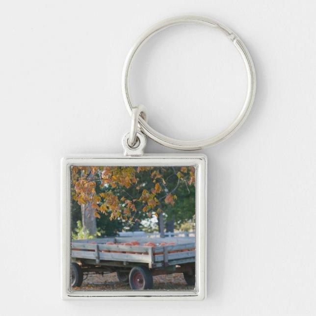 USA, IOWA, Madison County, Winterset: Howell's Keychain (Front)