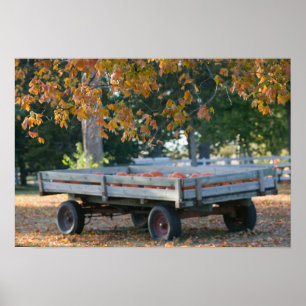 USA, IOWA, Madison County, Winterset: Howell's Poster
