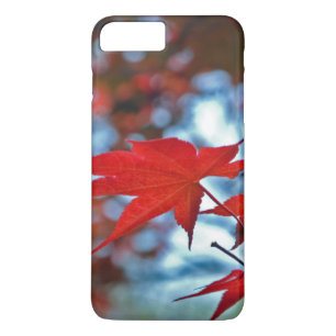 USA, Kansas. Fall Colours Case-Mate iPhone Case