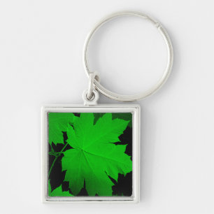 USA, Kansas, Oak Leaves In The Light Keychain