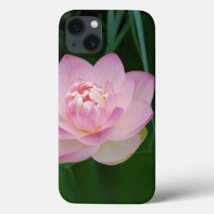 USA, Kansas, Pink Water Lilly iPhone 13 Case