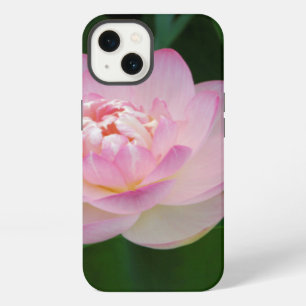 USA, Kansas, Pink Water Lilly iPhone 13 Case