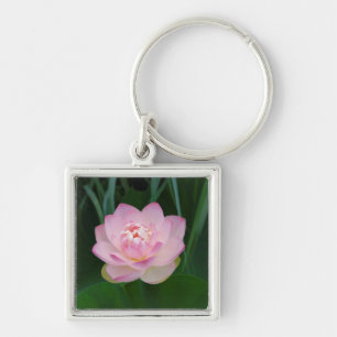 USA, Kansas, Pink Water Lilly Keychain