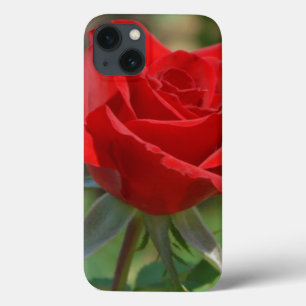 USA, Kansas, Red Rose iPhone 13 Case