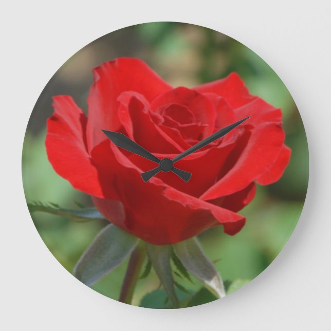USA, Kansas, Red Rose Large Clock (Front)