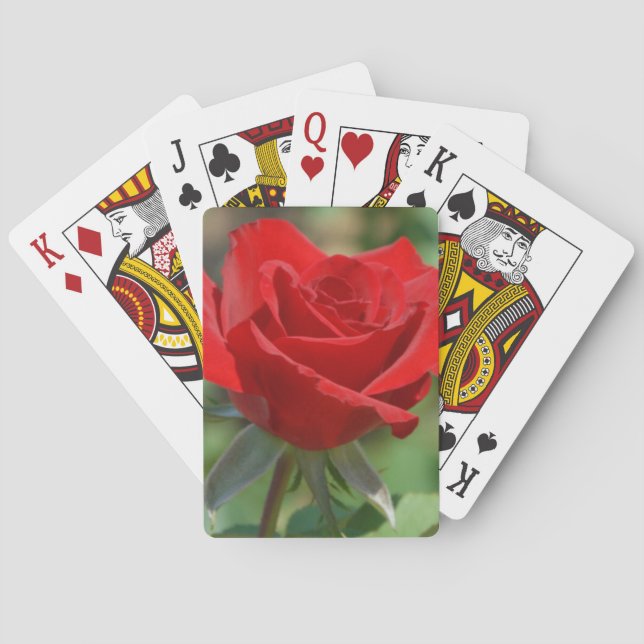 USA, Kansas, Red Rose Playing Cards (Back)