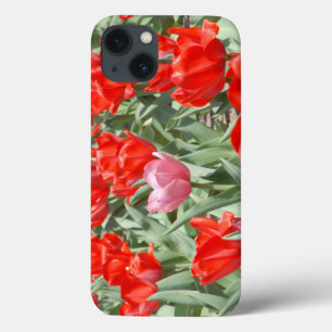 USA, Kansas, Red Tulips With One Pink Tulip iPhone 13 Case