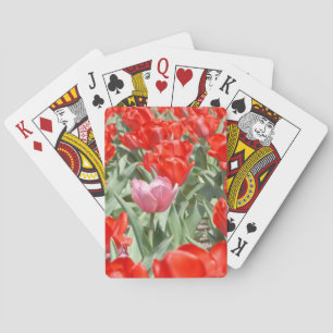 USA, Kansas, Red Tulips With One Pink Tulip Playing Cards