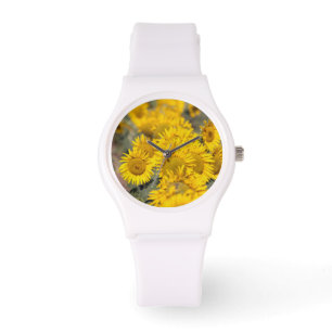 USA, Kansas. Sunflowers (Helianthus Annuus) Watch