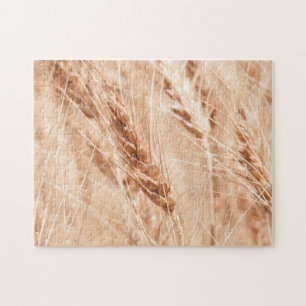 USA, Kansas, Wheat At Harvest Time Jigsaw Puzzle