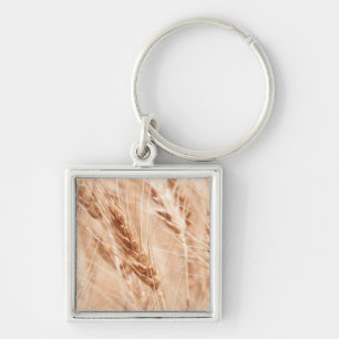 USA, Kansas, Wheat At Harvest Time Keychain