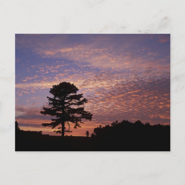 USA, Kentucky, Cumberland Gap National Postcard (Front)