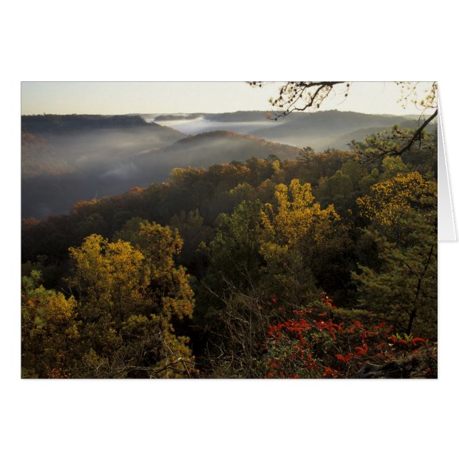 USA, Kentucky. Daniel Boone National Forest. (Front Horizontal)