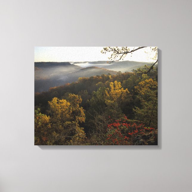 USA, Kentucky. Daniel Boone National Forest. Canvas Print (Front)