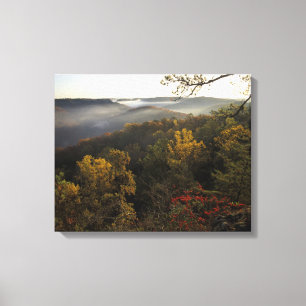 USA, Kentucky. Daniel Boone National Forest. Canvas Print